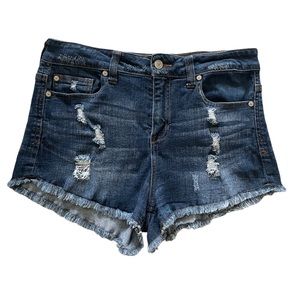 Altard State Distressed Denim Shorts- 29